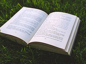 Buch lesen im Park