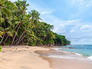 Urlaub planen